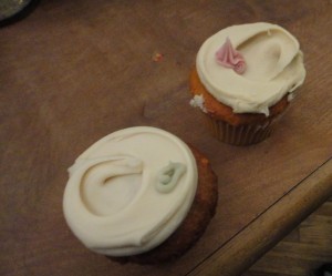 Babycakes NYC cupcakes