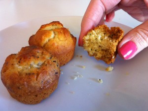 Blueberry mini muffins and lemon and poppy seed mini muffins Blueberry mini muffins and lemon and poppy seed mini muffins